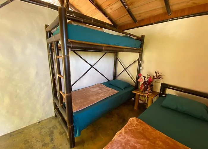 Finca Renacer - Jungle Lodges