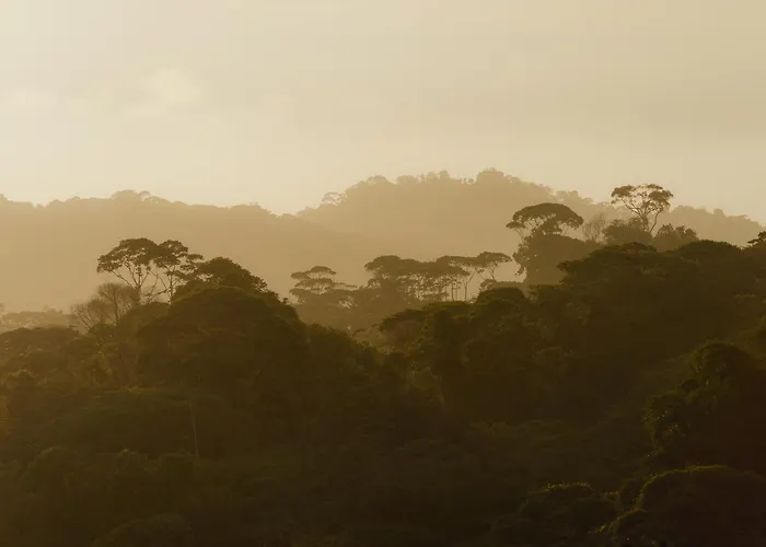 Finca Renacer - Jungle Lodges