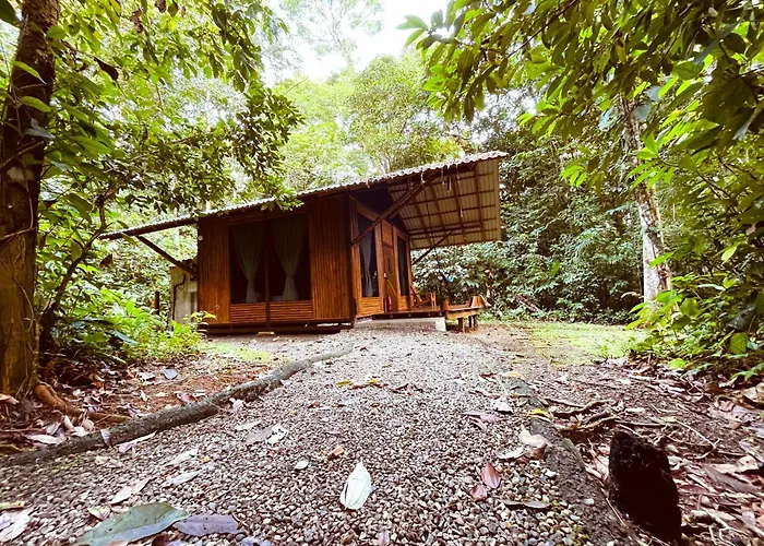 Danta Corcovado Lodge